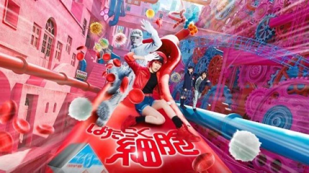 مشاهدة فيلم Cells at Work 2024 مترجم ايجي بست