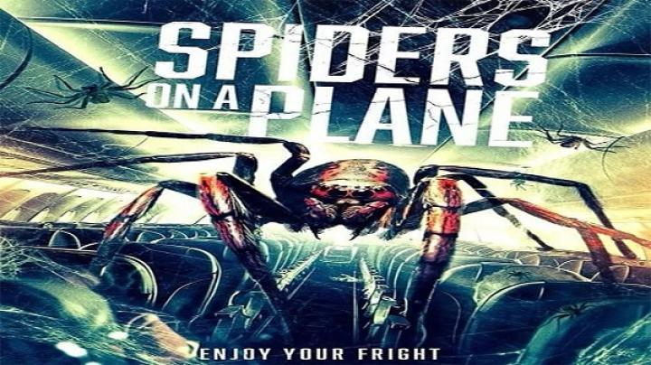 مشاهدة فيلم Spiders On A Plane 2024 مترجم ايجي بست
